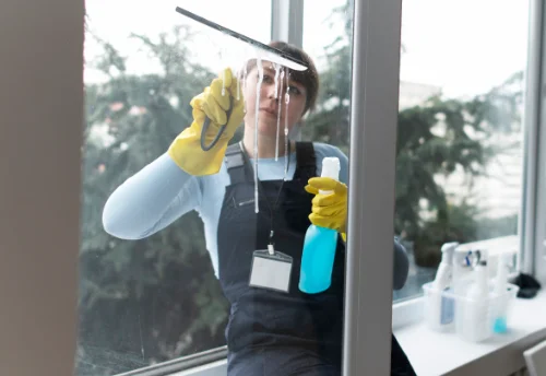 Nettoyage de vitres intérieures et extérieures à Varennes-sous-Dun